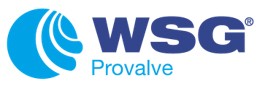 WSG Provalve Ltd